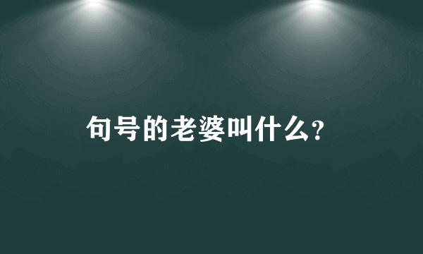 句号的老婆叫什么？