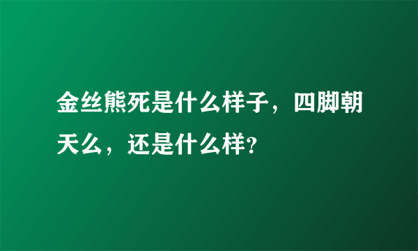 金丝熊死是什么样子，四脚朝天么，还是什么样？