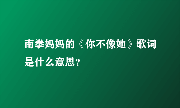 南拳妈妈的《你不像她》歌词是什么意思？