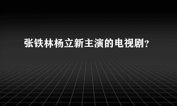 张铁林杨立新主演的电视剧？