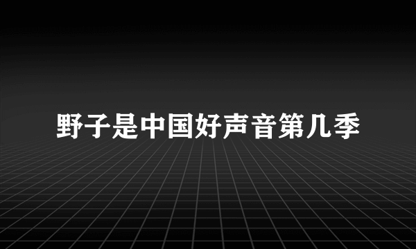 野子是中国好声音第几季