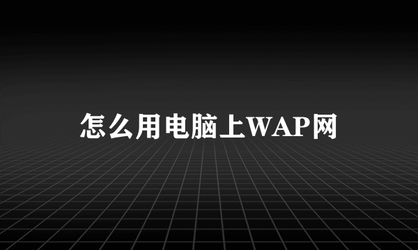 怎么用电脑上WAP网