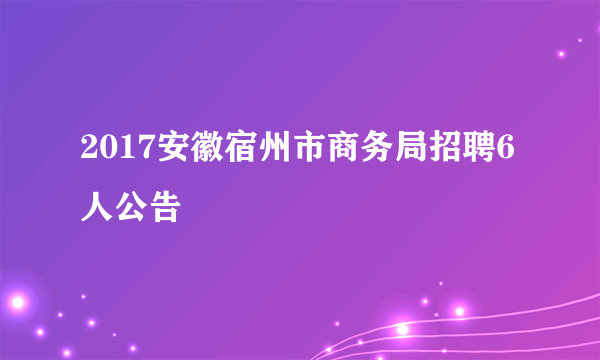 2017安徽宿州市商务局招聘6人公告