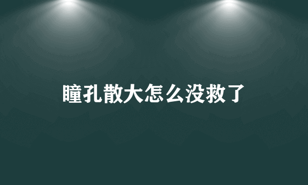 瞳孔散大怎么没救了