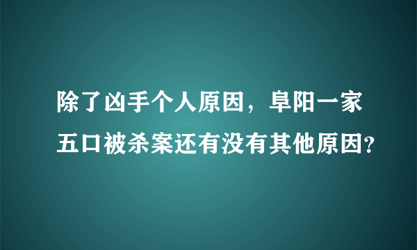 除了凶手个人原因，阜阳一家五口被杀案还有没有其他原因？