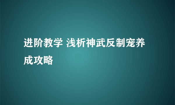 进阶教学 浅析神武反制宠养成攻略