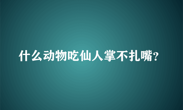 什么动物吃仙人掌不扎嘴？