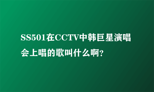 SS501在CCTV中韩巨星演唱会上唱的歌叫什么啊？