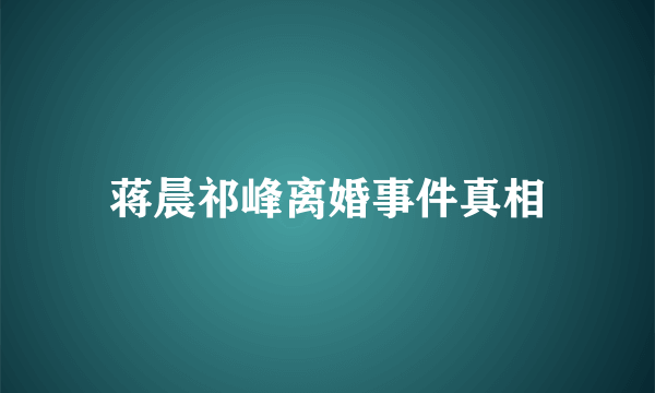 蒋晨祁峰离婚事件真相