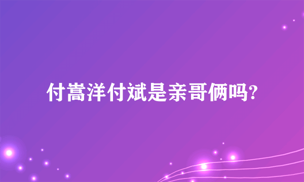 付嵩洋付斌是亲哥俩吗?