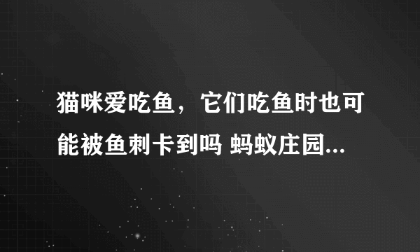 猫咪爱吃鱼，它们吃鱼时也可能被鱼刺卡到吗 蚂蚁庄园今日答案10月21日