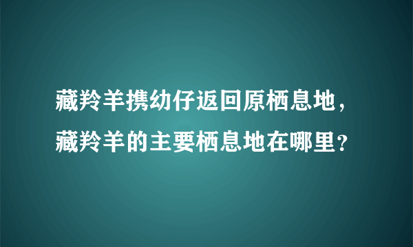 藏羚羊携幼仔返回原栖息地，藏羚羊的主要栖息地在哪里？