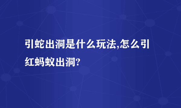 引蛇出洞是什么玩法,怎么引红蚂蚁出洞?