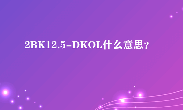 2BK12.5-DKOL什么意思？