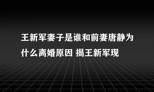 王新军妻子是谁和前妻唐静为什么离婚原因 揭王新军现