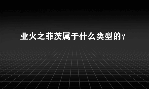 业火之菲茨属于什么类型的？