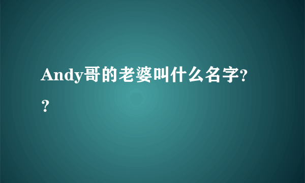 Andy哥的老婆叫什么名字？？