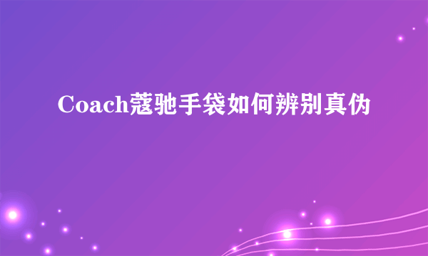 Coach蔻驰手袋如何辨别真伪