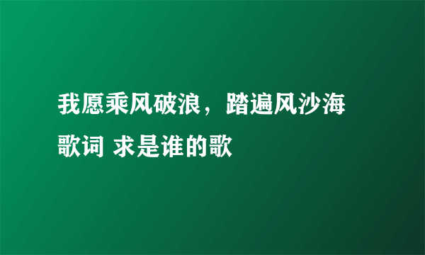 我愿乘风破浪，踏遍风沙海 歌词 求是谁的歌