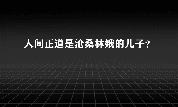 人间正道是沧桑林娥的儿子？