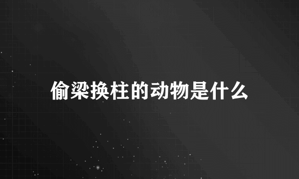 偷梁换柱的动物是什么