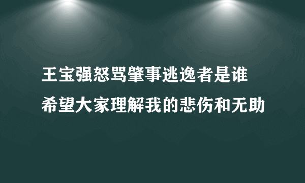 王宝强怒骂肇事逃逸者是谁 希望大家理解我的悲伤和无助