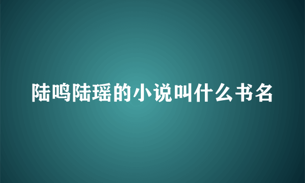 陆鸣陆瑶的小说叫什么书名