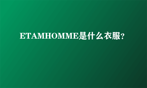 ETAMHOMME是什么衣服？