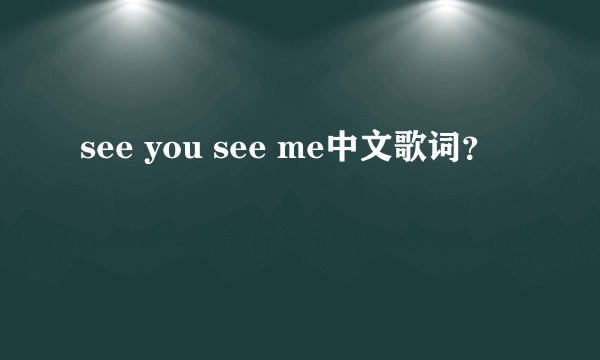 see you see me中文歌词？