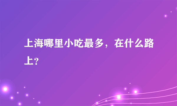 上海哪里小吃最多，在什么路上？