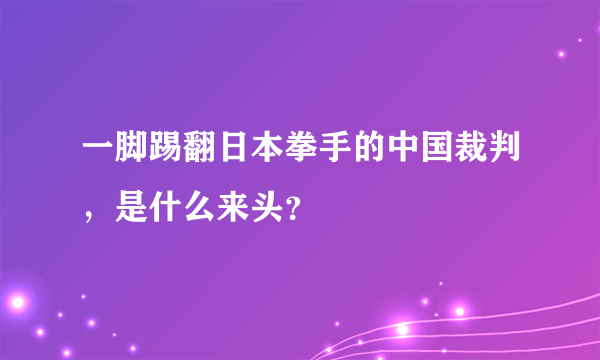 一脚踢翻日本拳手的中国裁判，是什么来头？