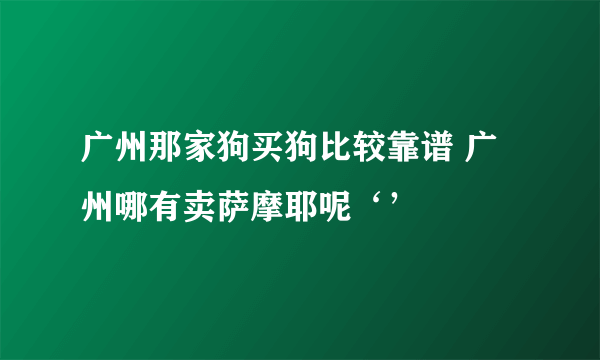 广州那家狗买狗比较靠谱 广州哪有卖萨摩耶呢‘’