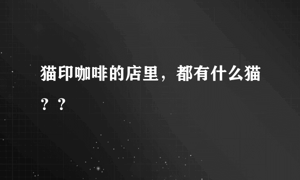 猫印咖啡的店里，都有什么猫？？