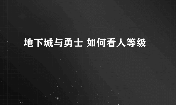 地下城与勇士 如何看人等级