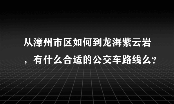 从漳州市区如何到龙海紫云岩，有什么合适的公交车路线么？