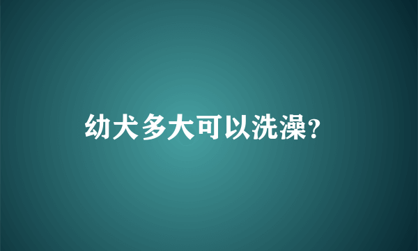 幼犬多大可以洗澡？