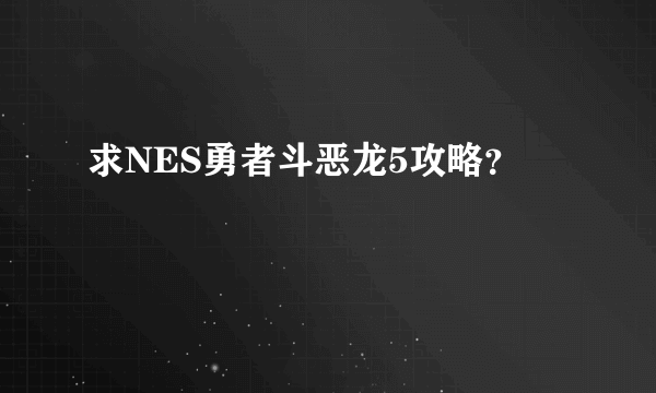 求NES勇者斗恶龙5攻略？