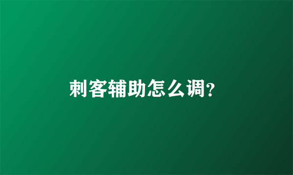 刺客辅助怎么调？