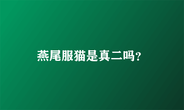 燕尾服猫是真二吗？