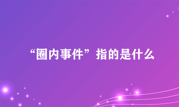 “圈内事件”指的是什么