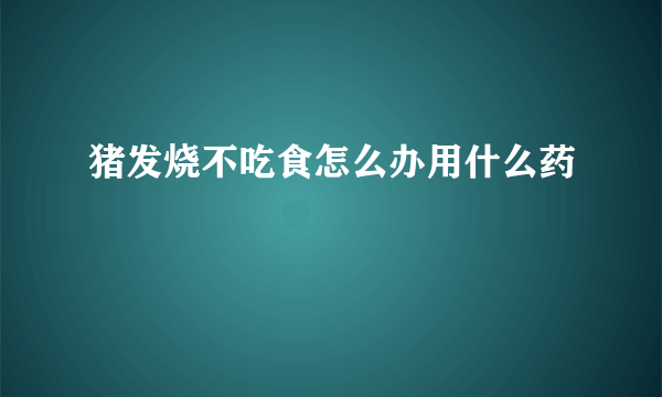 猪发烧不吃食怎么办用什么药