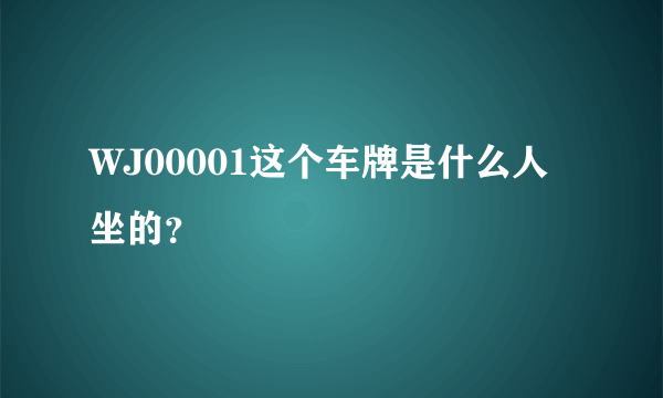 WJ00001这个车牌是什么人坐的？