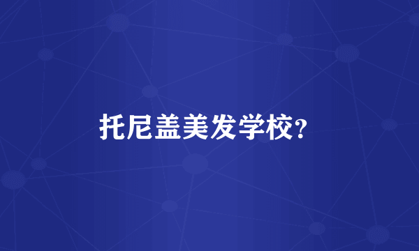 托尼盖美发学校？