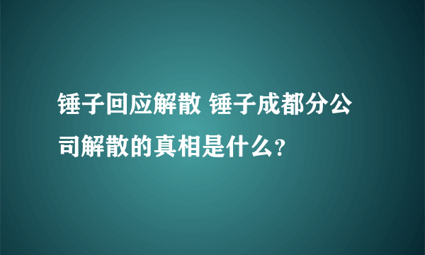 锤子回应解散 锤子成都分公司解散的真相是什么？