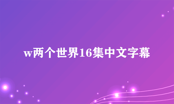 w两个世界16集中文字幕