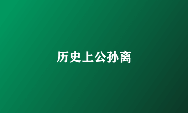 历史上公孙离