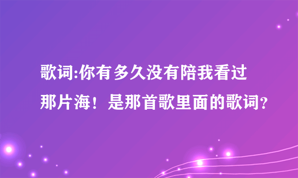 歌词:你有多久没有陪我看过那片海！是那首歌里面的歌词？