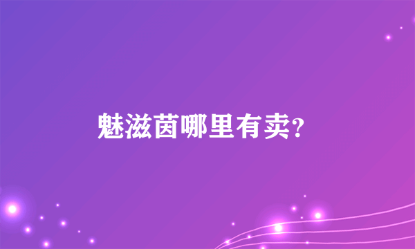 魅滋茵哪里有卖？