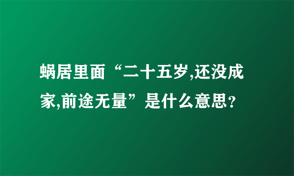 蜗居里面“二十五岁,还没成家,前途无量”是什么意思？