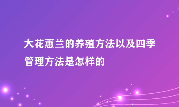 大花蕙兰的养殖方法以及四季管理方法是怎样的